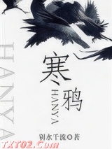 寒鸦图片