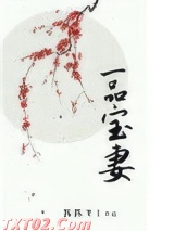 一品宝妻