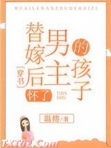 替嫁后怀了男主的孩子[穿书]图片