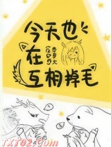 今天也在互相掉毛图片