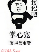 掌心宠（重生）