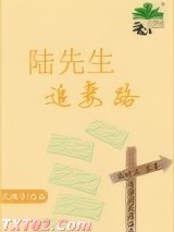 陆先生追妻路图片