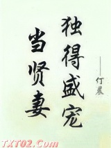 当贤妻独得盛宠