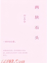 两块石头图片