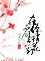 在你眉梢点花灯