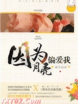 因为月亮偏爱我图片