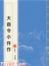 大县令小仵作图片