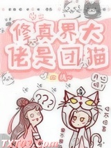 修真界大佬是团猫