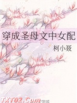 穿成圣母文中女配