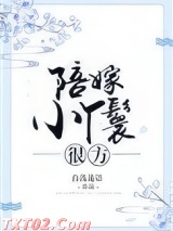 陪嫁小丫鬟很方图片