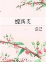 嫁新贵图片