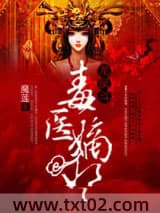 龙凤斗――毒医嫡妃图片