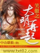 笑傲之大明再起图片