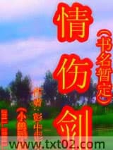 情伤剑暂定