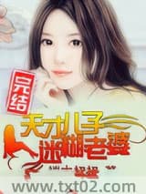 天才儿子迷糊老婆图片