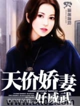 天价娇妻好威武