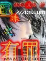 龙珠之有罪图片