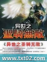 异世之圣骑无敌图片