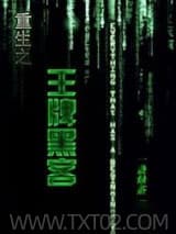 重生之王牌黑客图片
