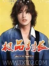极品村长图片