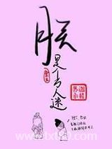 朕是个万人迷图片