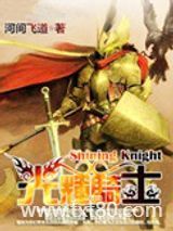 光辉骑士图片
