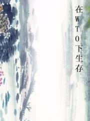 在WTO下生存图片