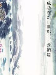 成功在21世纪--营销篇图片