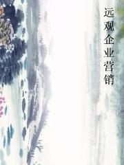 远观企业营销图片