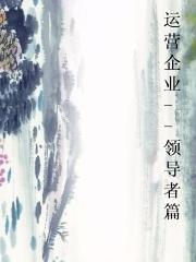 运营企业--领导者篇图片